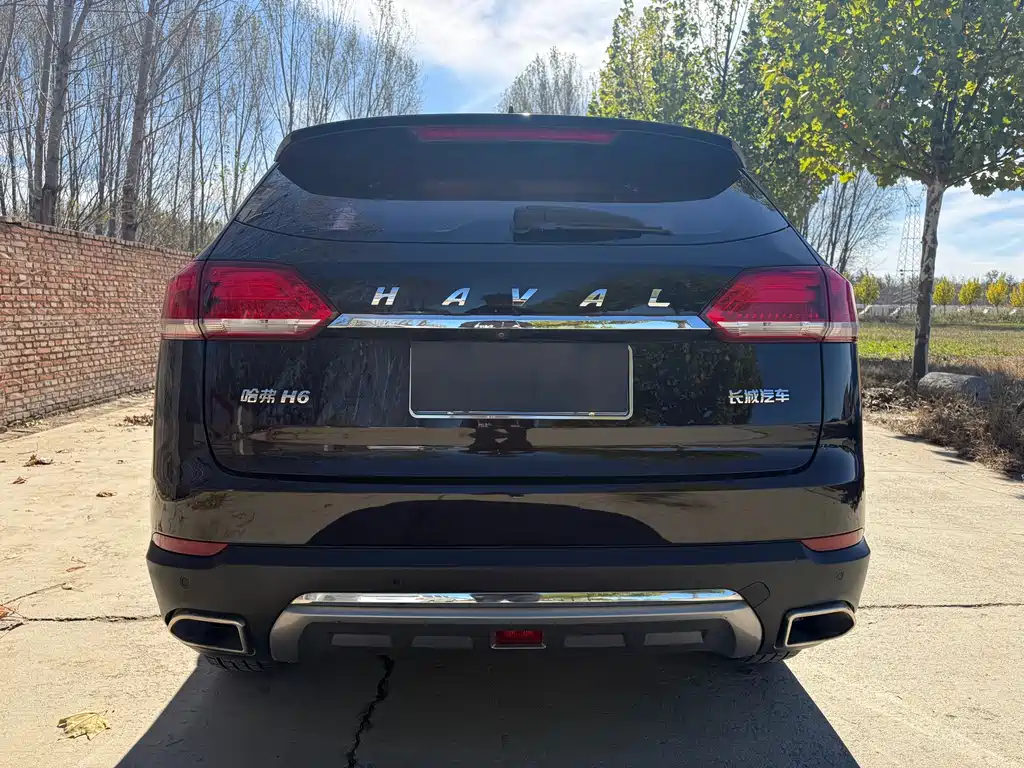 Haval H6 — миниатюра 6