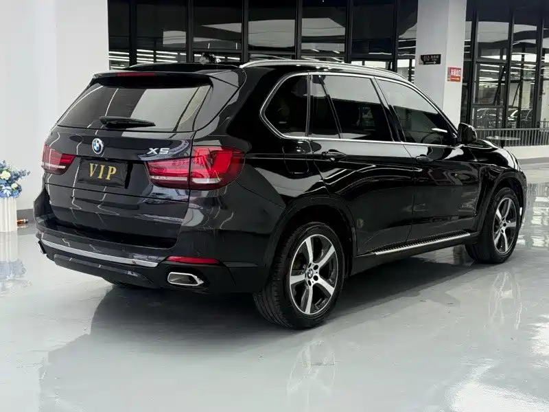 BMW X5 (Import) — миниатюра 15