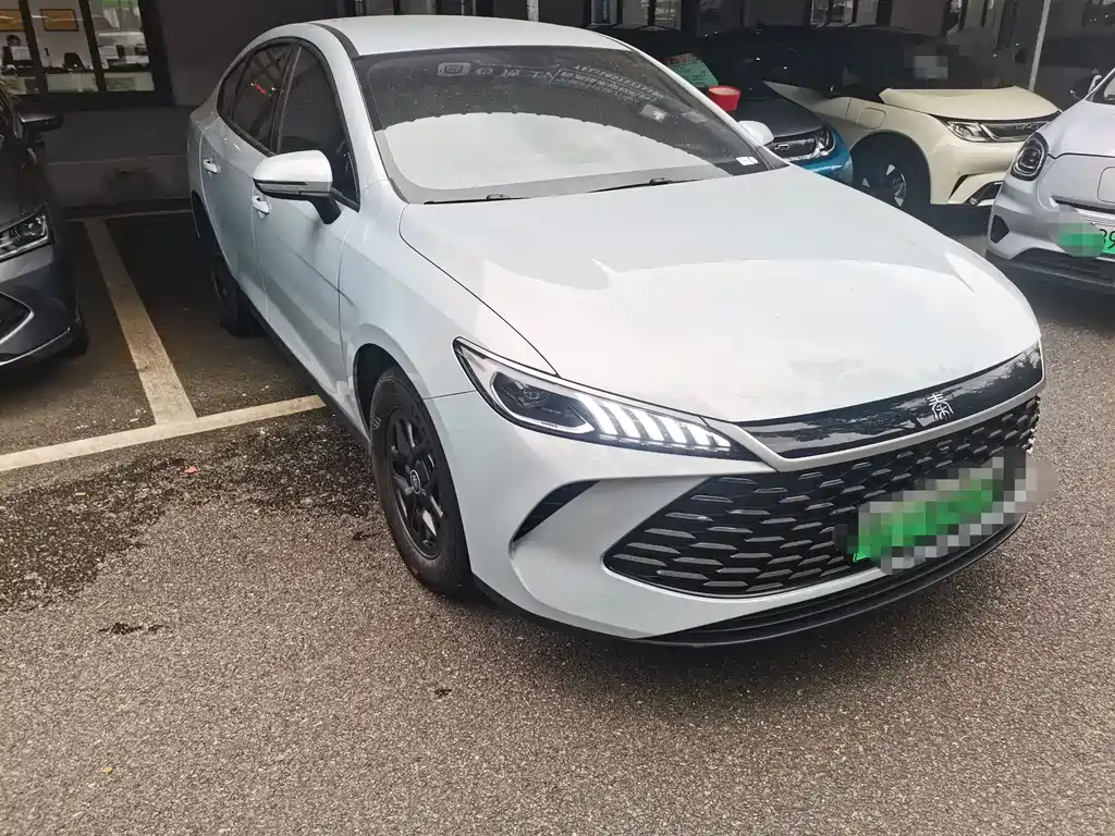 BYD Qin Plus PLUS 2025 DM-i Smart Drive 55KM Lead