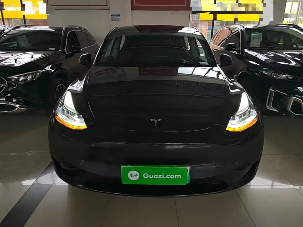 Tesla Model Y — миниатюра 3