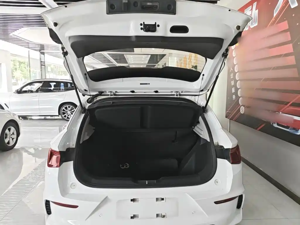 BYD e2 — миниатюра 19
