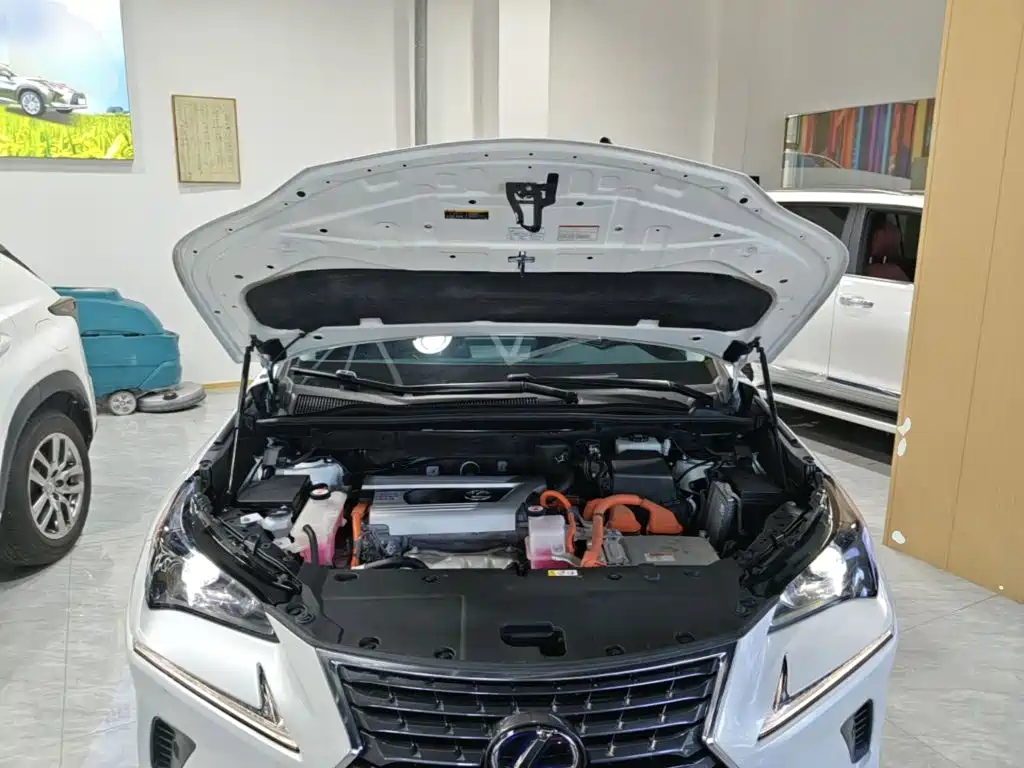 Lexus NX — миниатюра 16