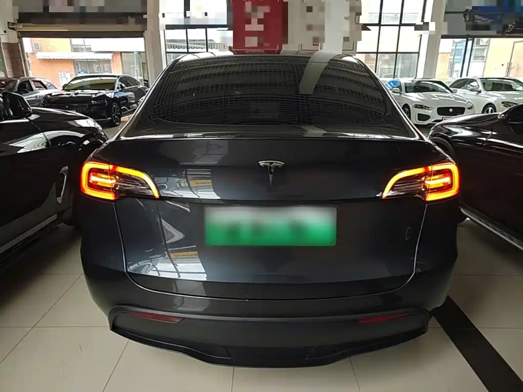 Tesla Model Y — миниатюра 6