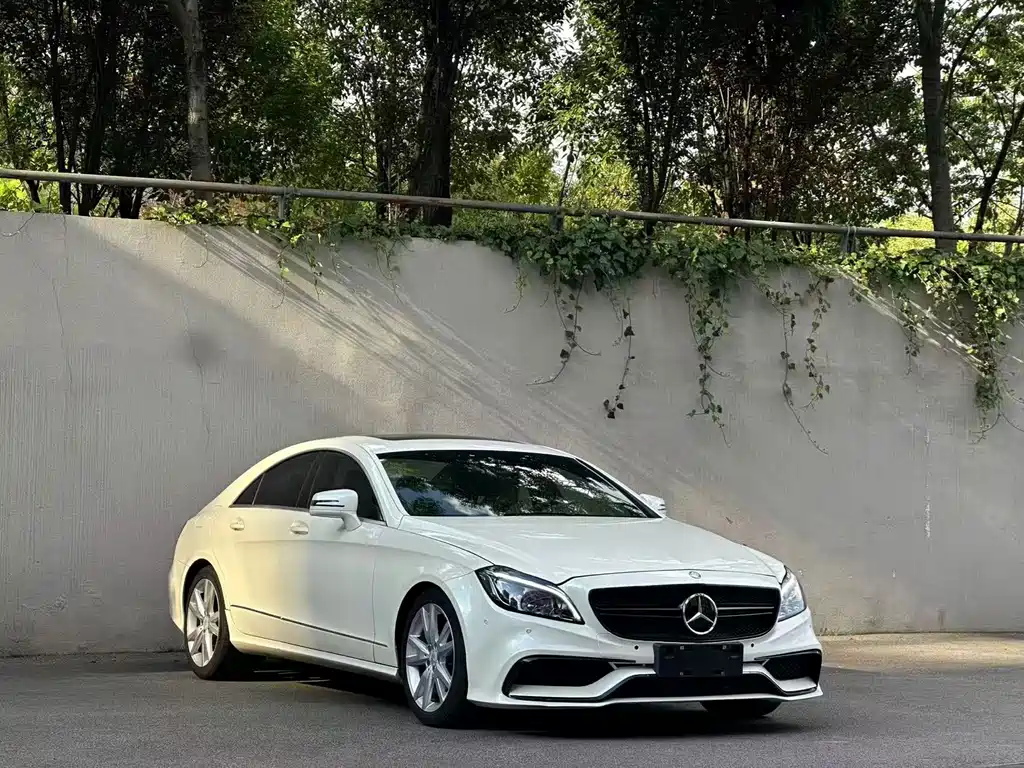 Mercedes-Benz CLS CLS 300 CGI, фото 3