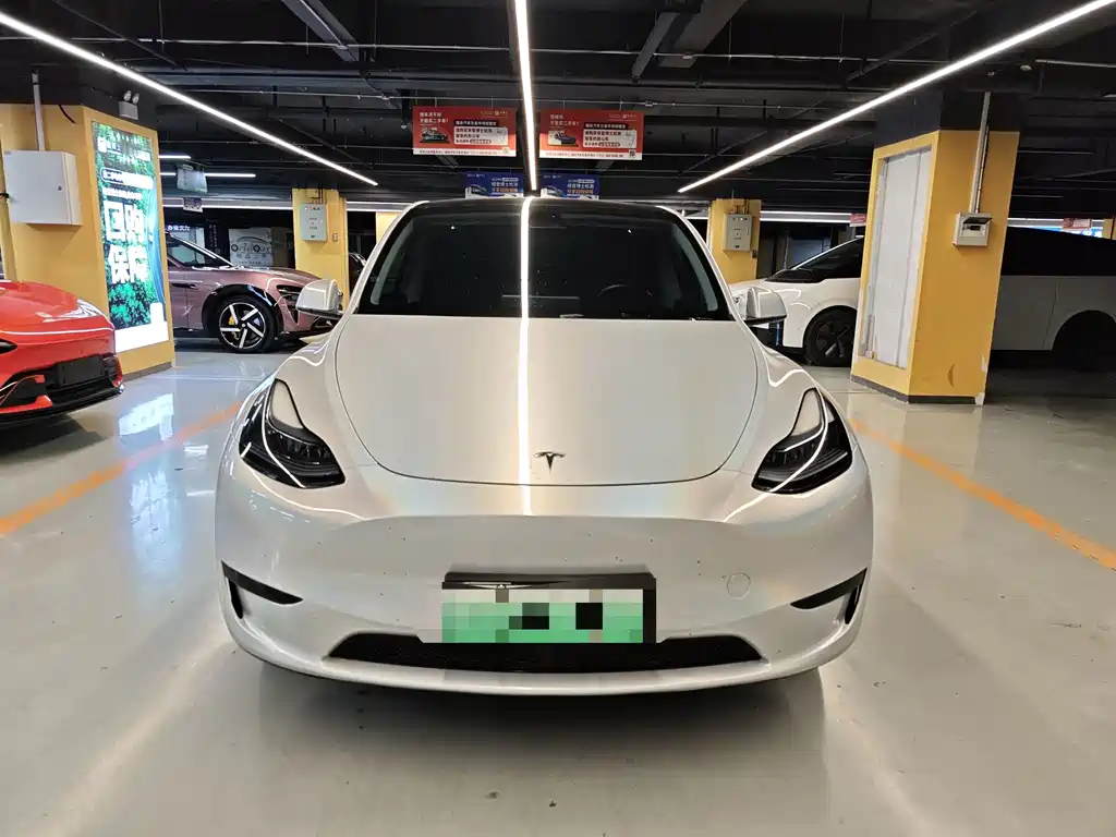 Tesla Model Y — миниатюра 3
