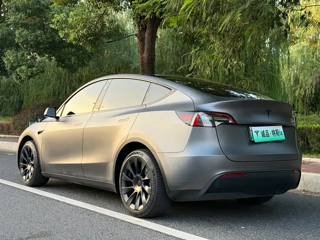 Tesla Model Y — миниатюра 3