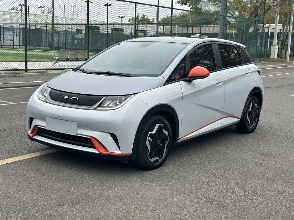 Byd Dolphin 2021