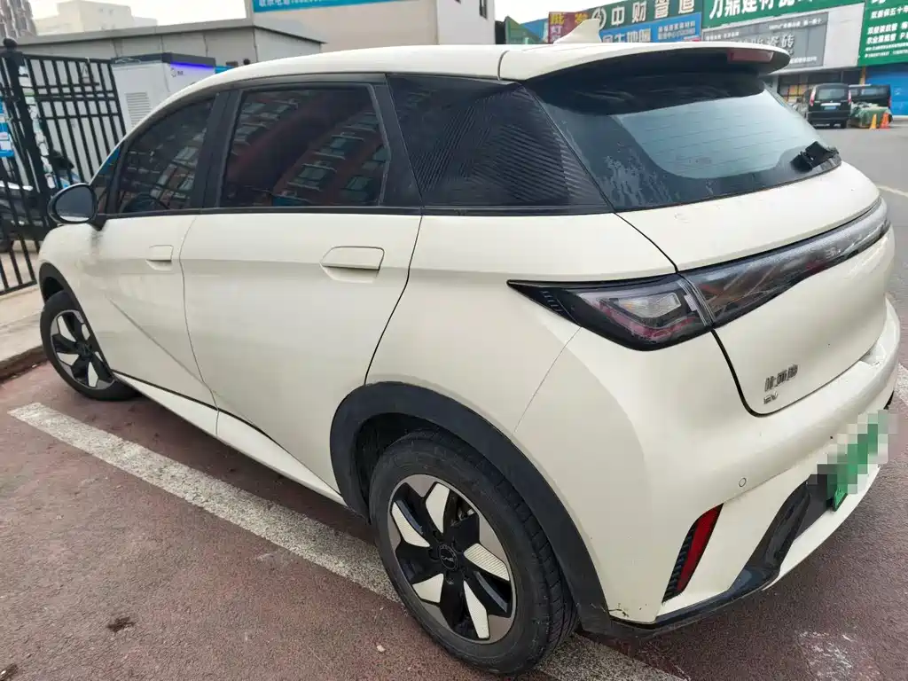 BYD Dolphin — миниатюра 5