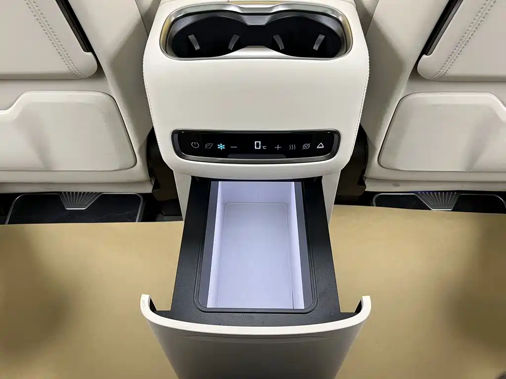 Denza Denza D9 — миниатюра 36