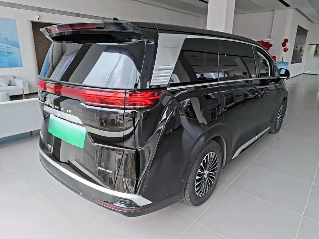 Denza Denza D9 — миниатюра 7