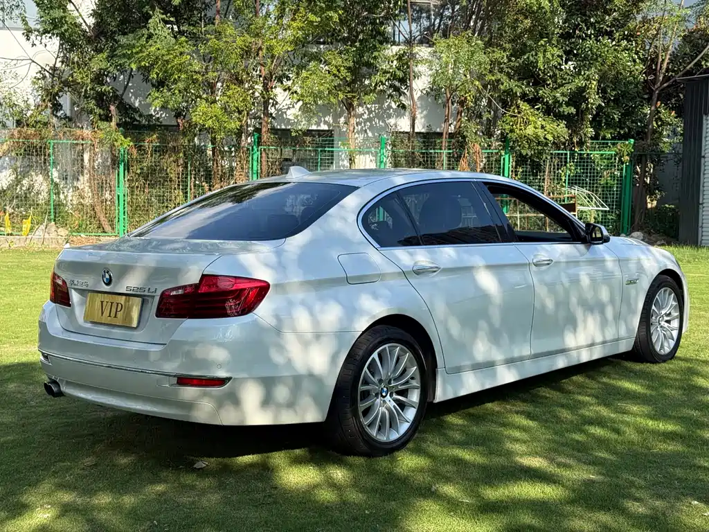 BMW 5 Series — миниатюра 4