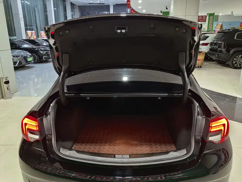 Buick Regal — миниатюра 11