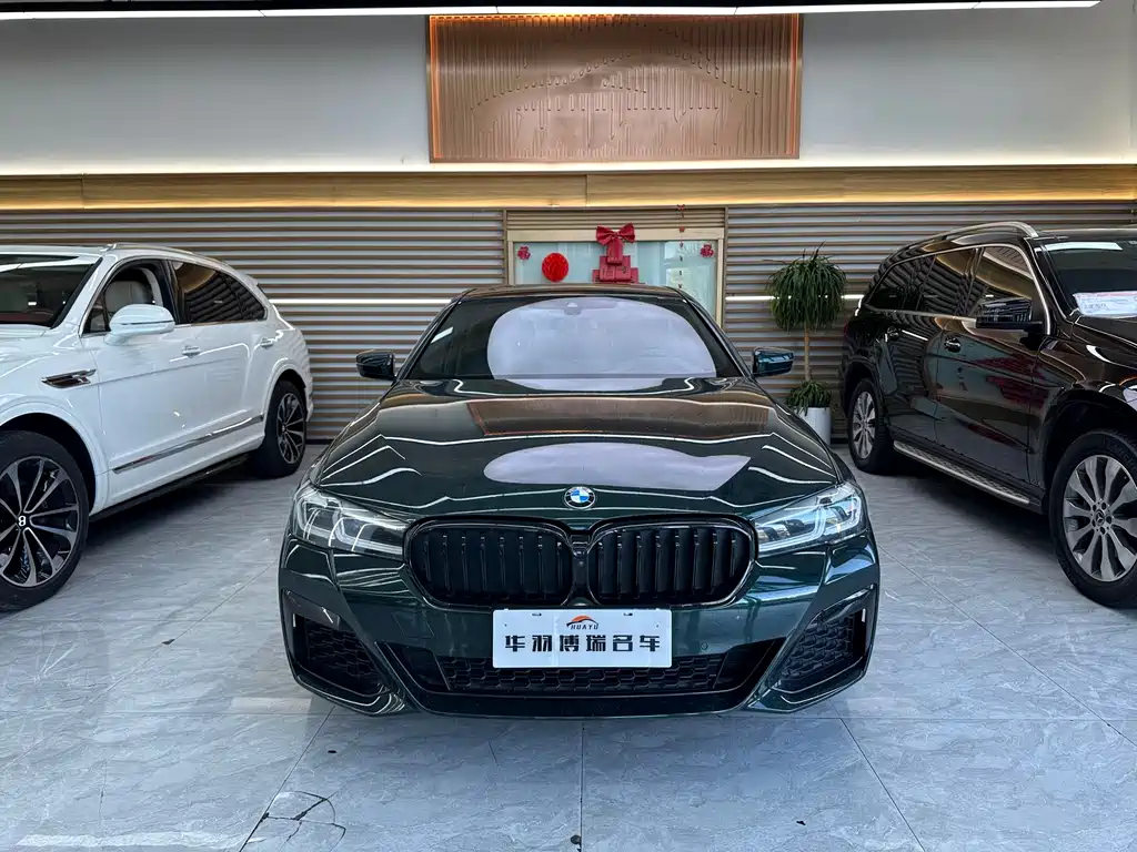 BMW 5 Series (Import) — миниатюра 2