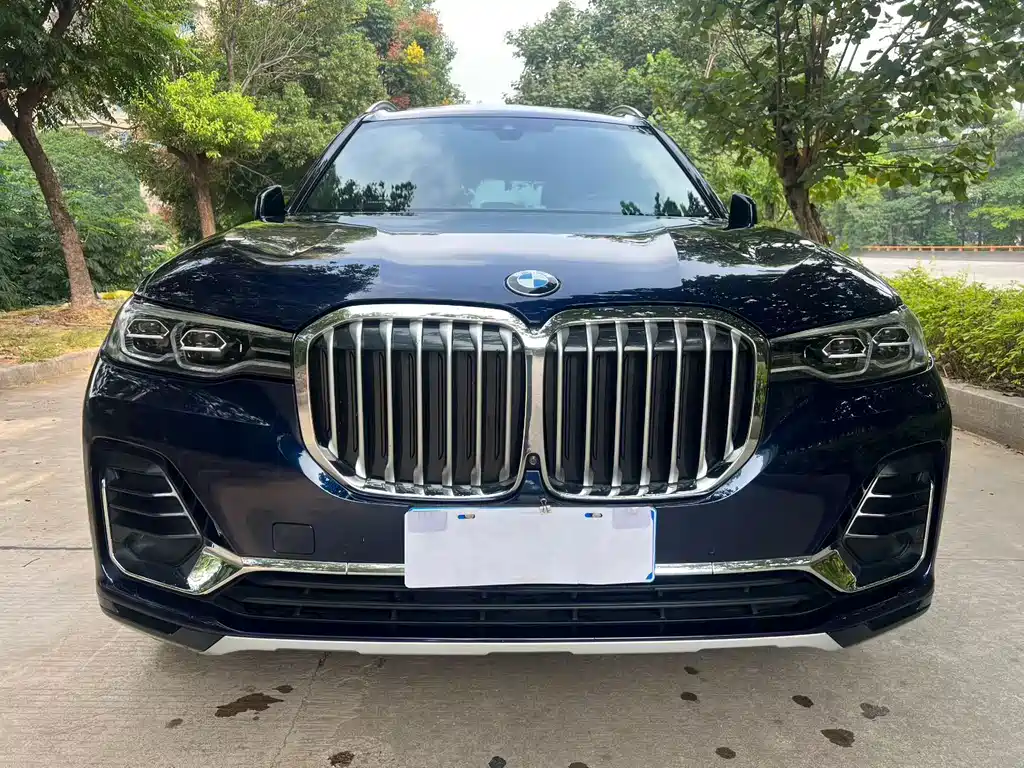 BMW X7 — миниатюра 2
