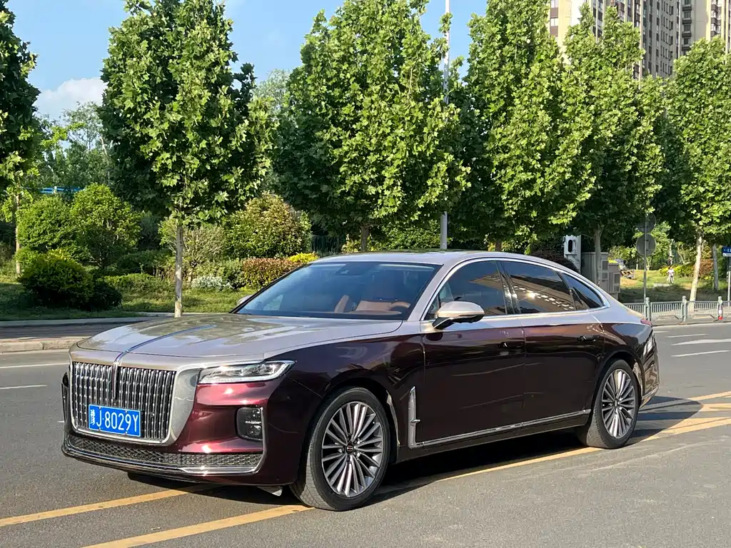Hongqi Hongqi H9 2021