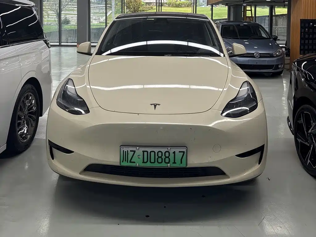 Tesla Model Y — миниатюра 2