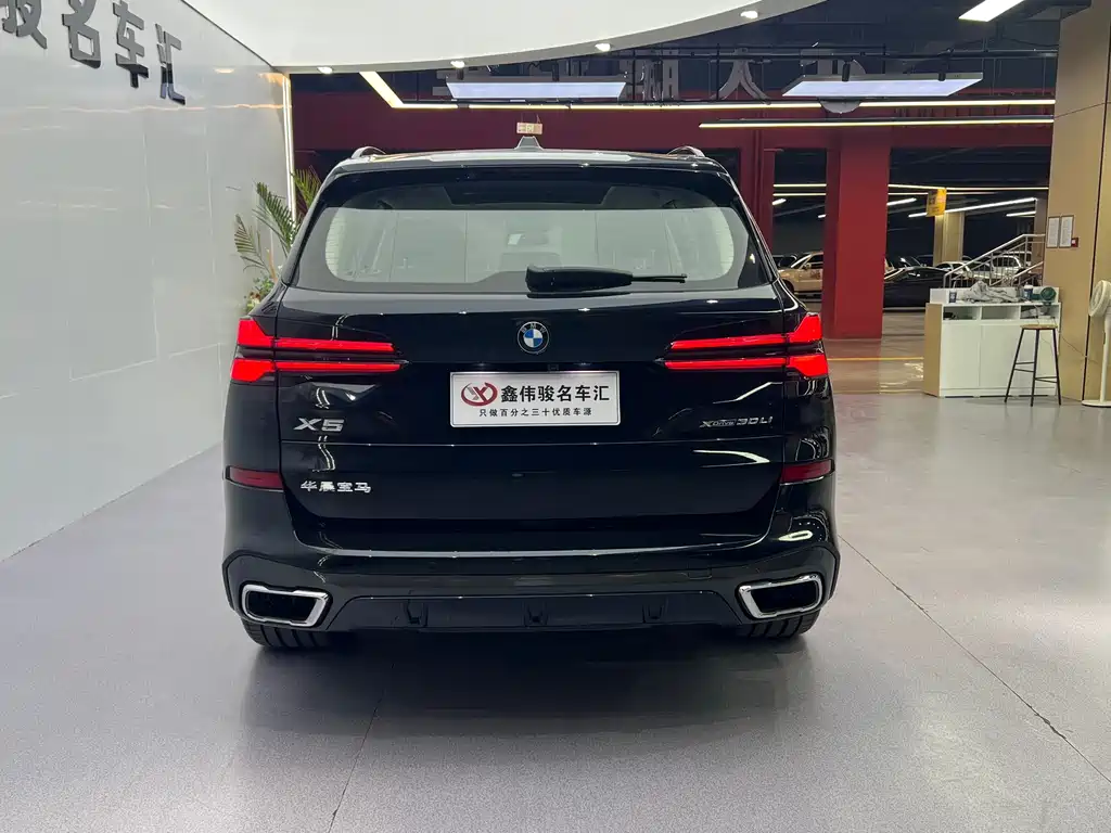BMW X5 — миниатюра 18