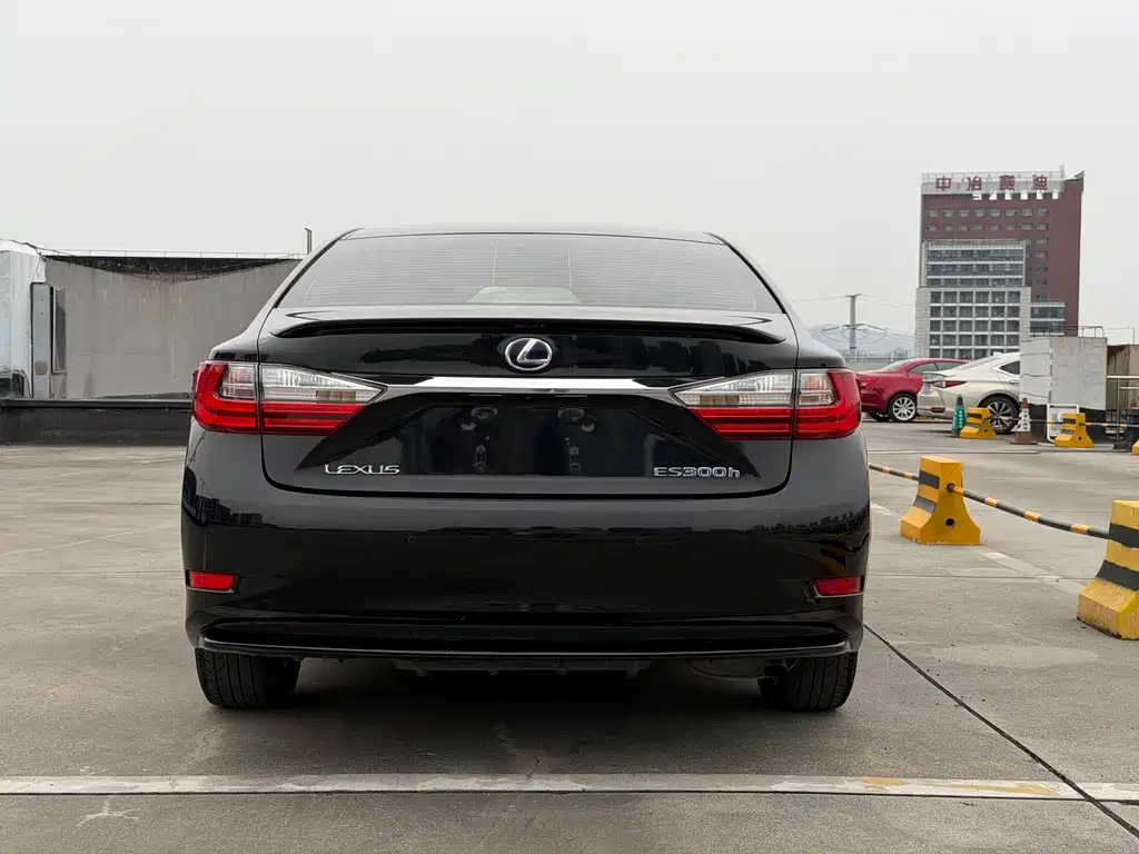 Lexus ES 300h Comfort Edition, фото 5