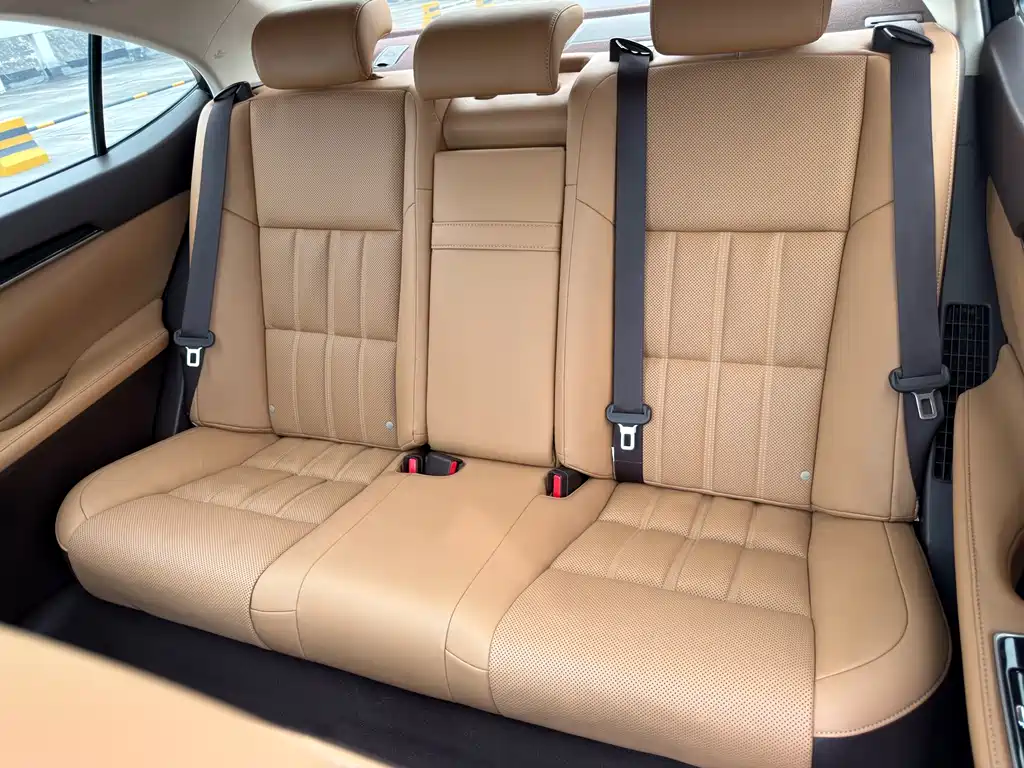 Lexus ES 300h Comfort Edition, фото 18