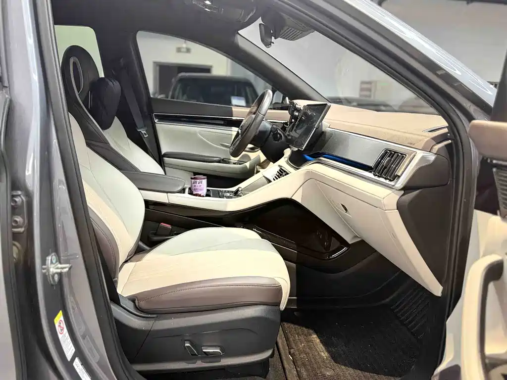 BYD PLUS New Energy — миниатюра 11