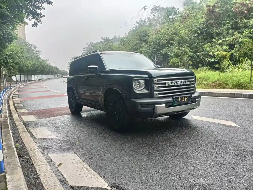 Haval Menglong New Energy — миниатюра 2