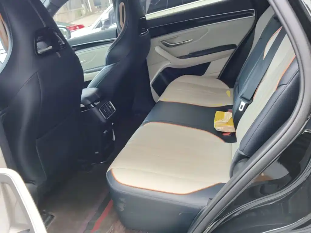 BYD PLUS New Energy — миниатюра 17