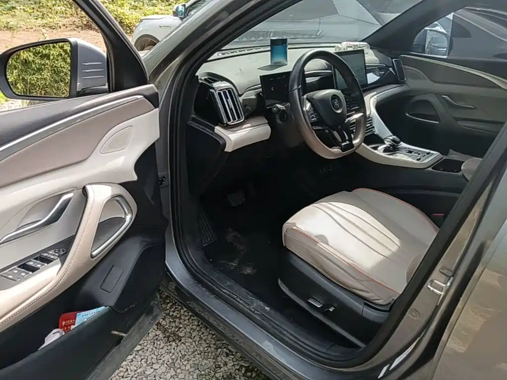 BYD Pro New Energy — миниатюра 16