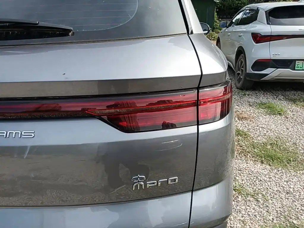BYD Pro New Energy — миниатюра 8