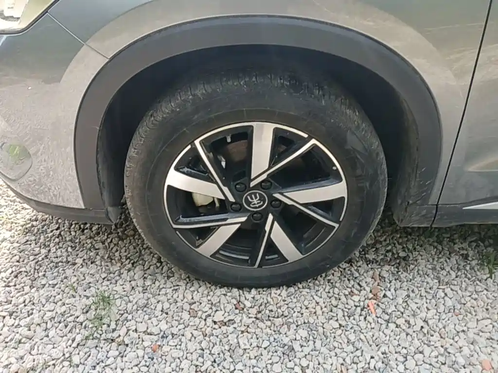 BYD Pro New Energy — миниатюра 23