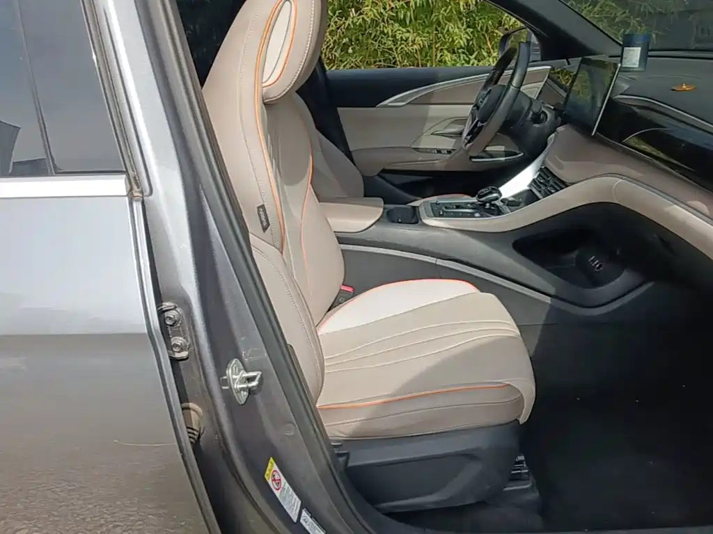 BYD Pro New Energy — миниатюра 25