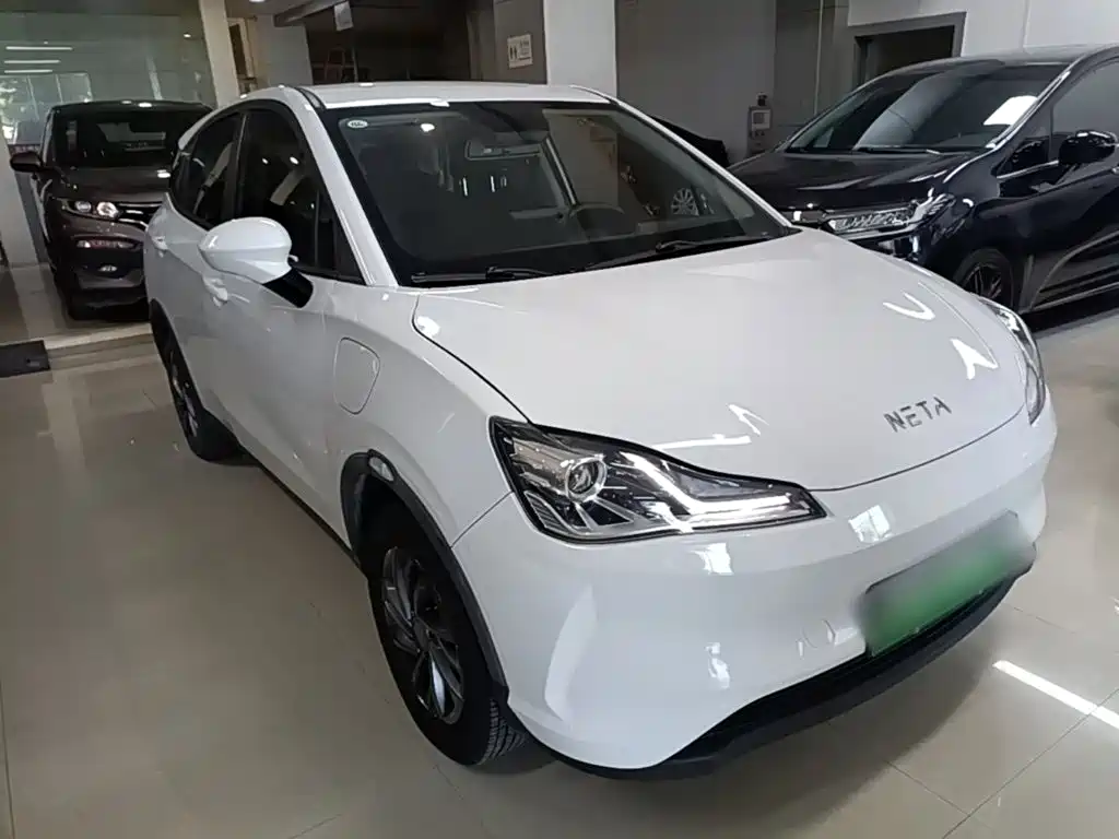 Neta Neta V — миниатюра 4
