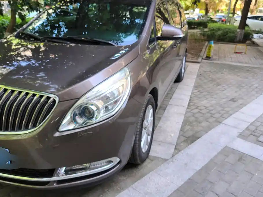 Buick GL8 — миниатюра 5