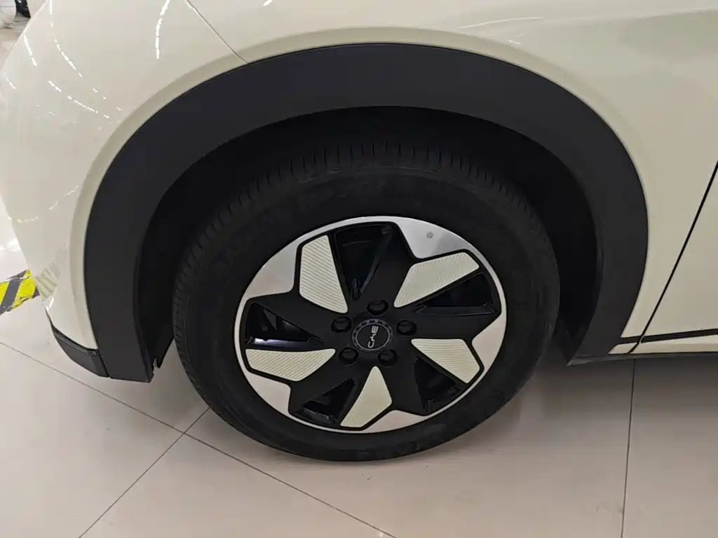 BYD Dolphin — миниатюра 23