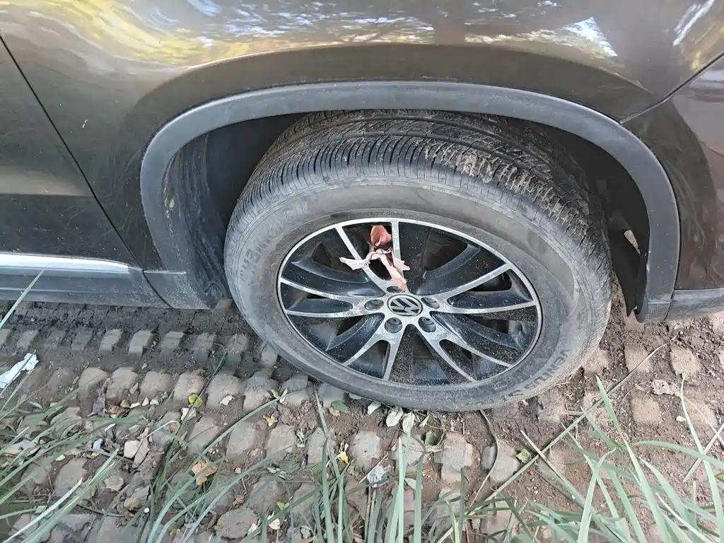 Volkswagen Tiguan — миниатюра 8