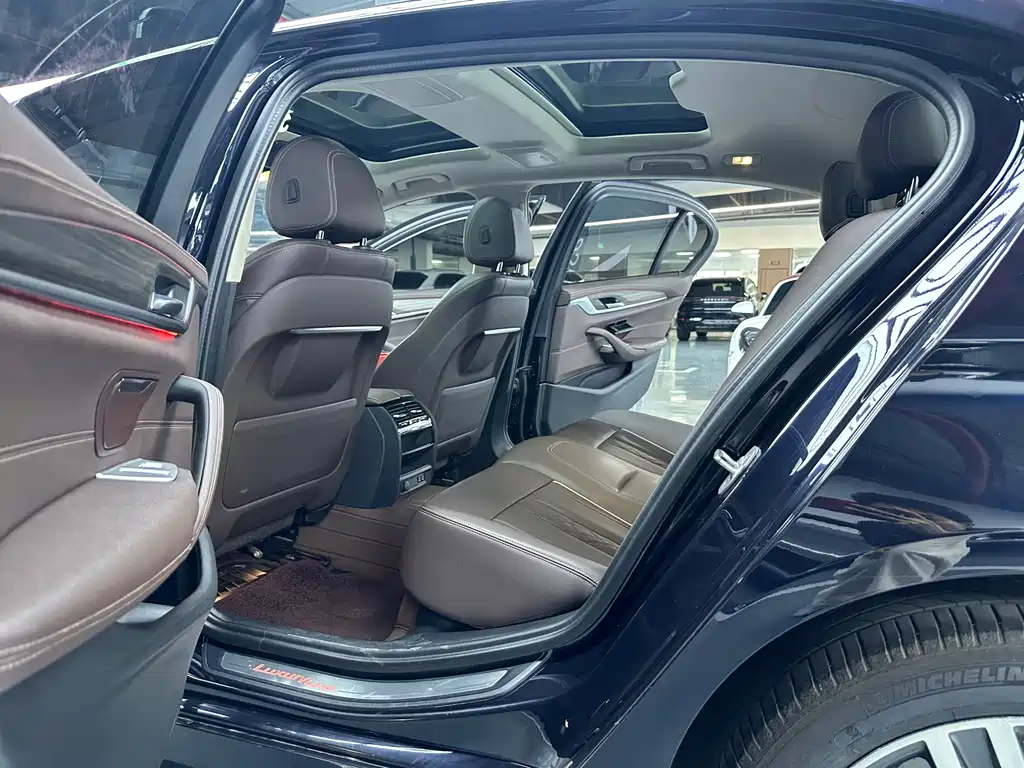 BMW 5 Series 5 2021 530Li Lead Luxury
