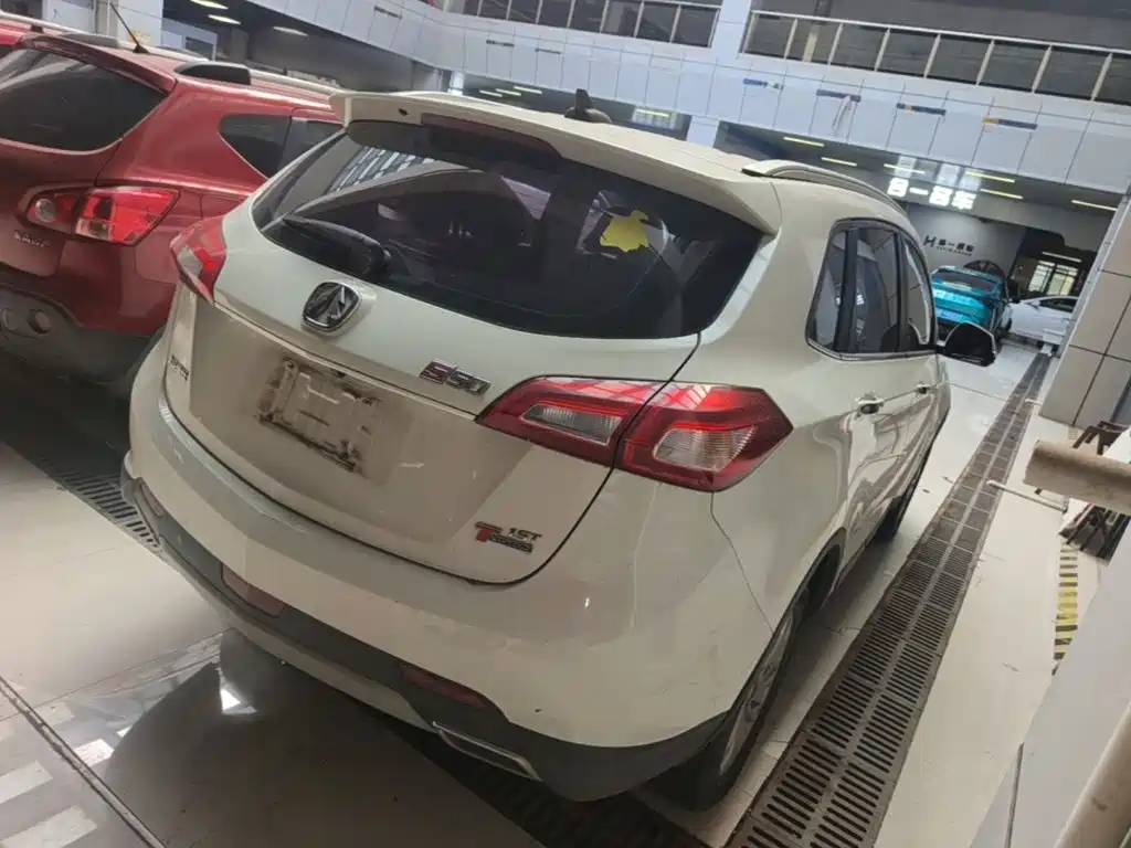 BAW Weiwang S50 — миниатюра 7