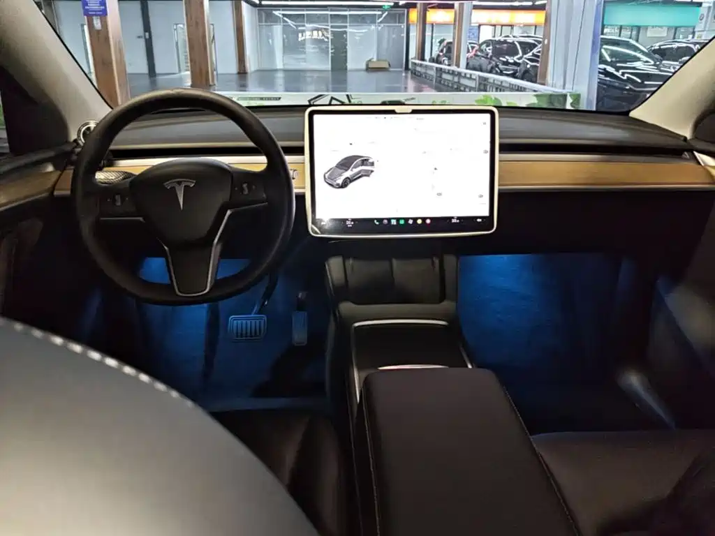 Tesla Model Y — миниатюра 10