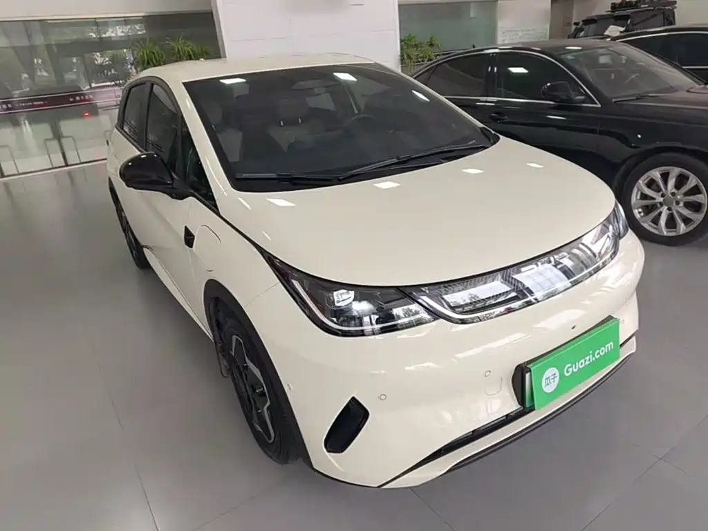BYD Dolphin — миниатюра 4