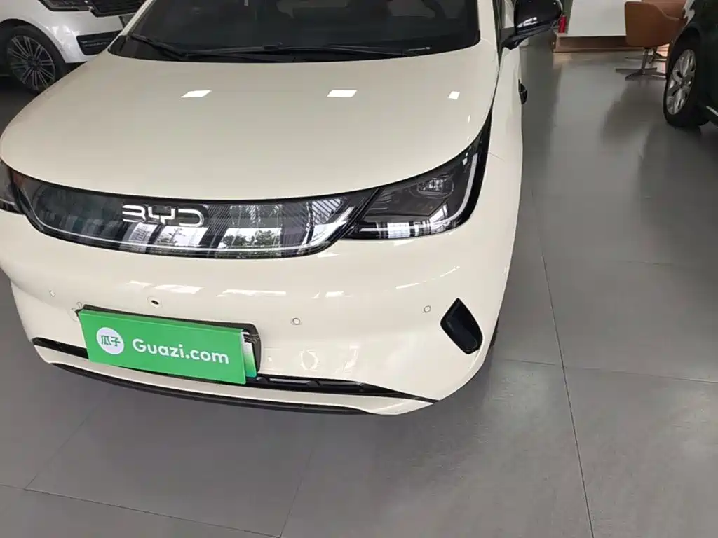 BYD Dolphin — миниатюра 24