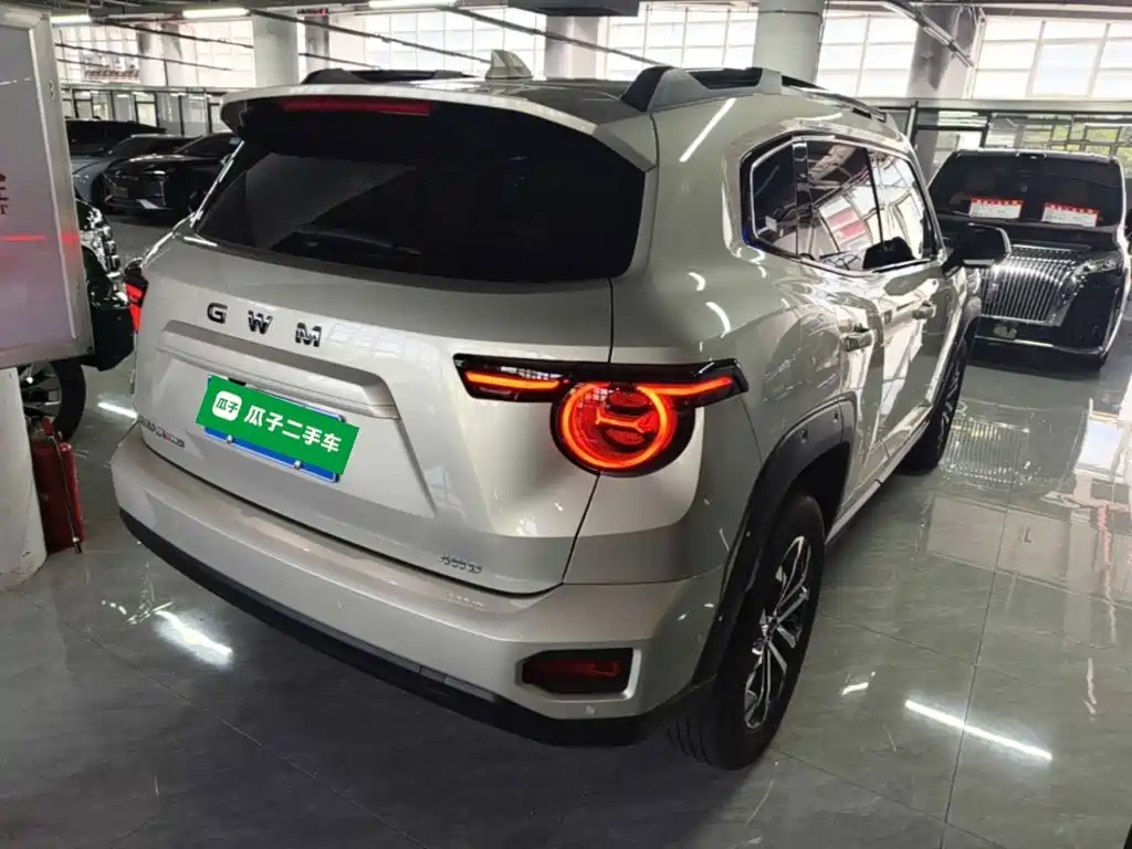 Haval Big Dog PLUS — миниатюра 7