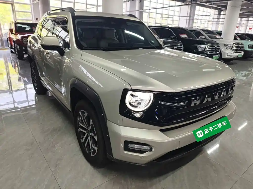 Haval Big Dog PLUS — миниатюра 4