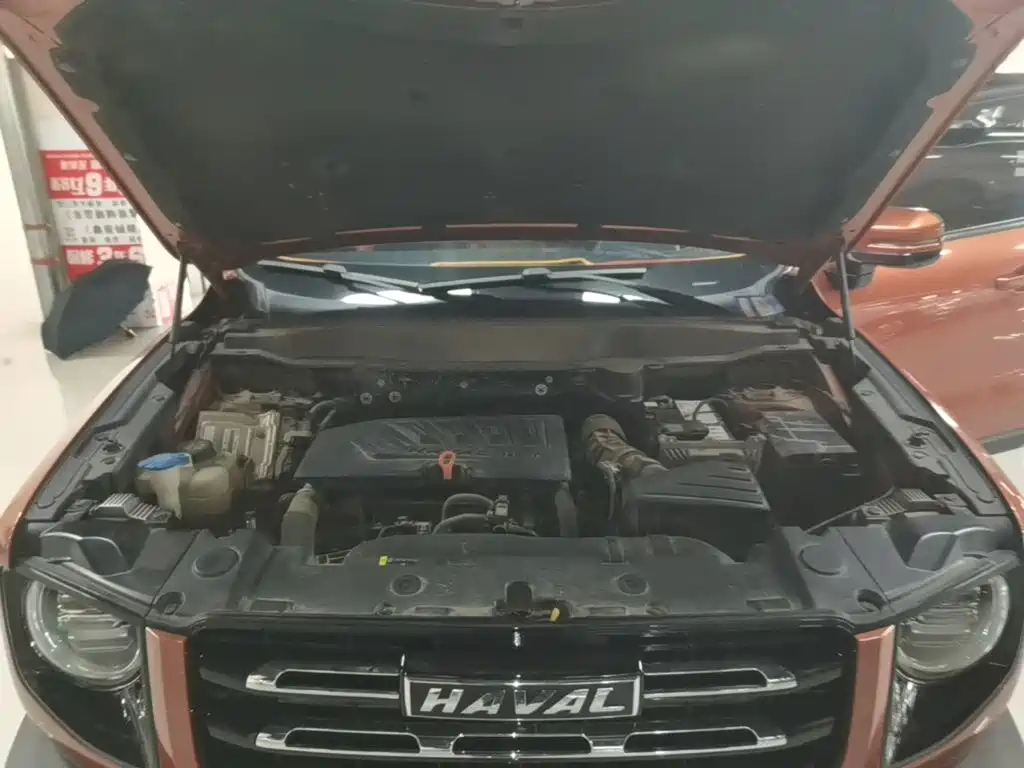 Haval Big Dog — миниатюра 20