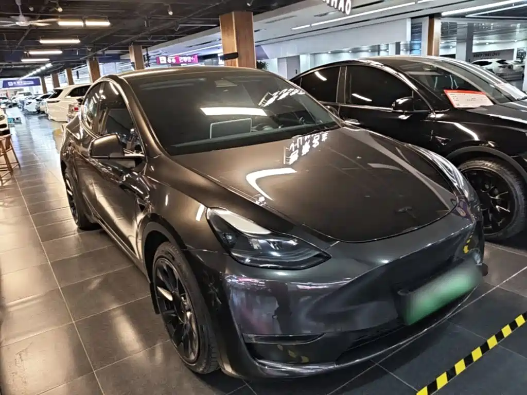 Tesla Model Y — миниатюра 4