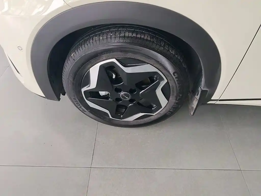 BYD Dolphin — миниатюра 23