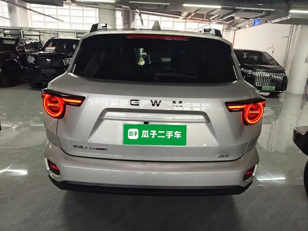 Haval Big Dog PLUS — миниатюра 6
