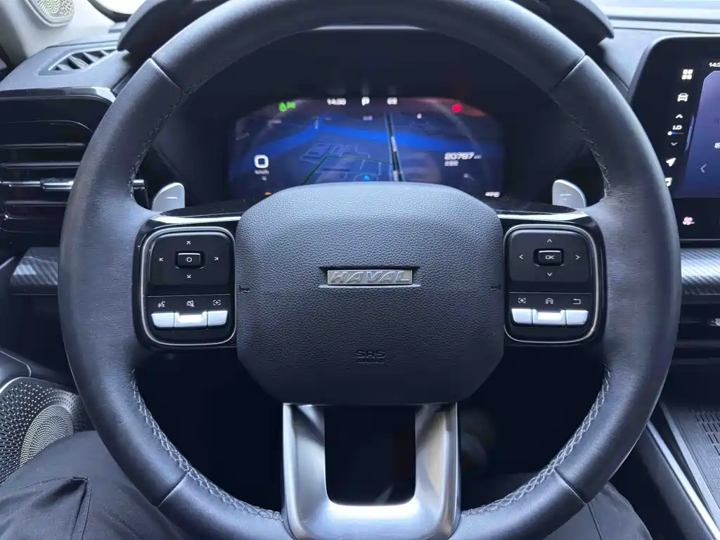 Haval Cool Dog — миниатюра 13