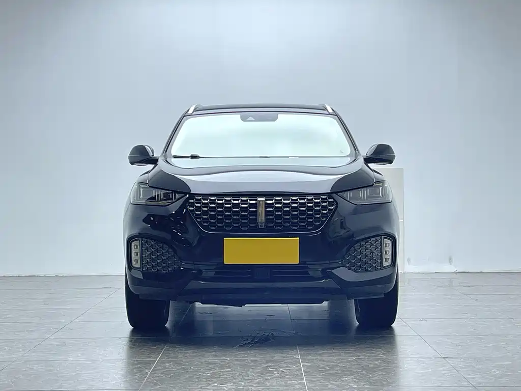 WEI PAI WEI BRAND VV6