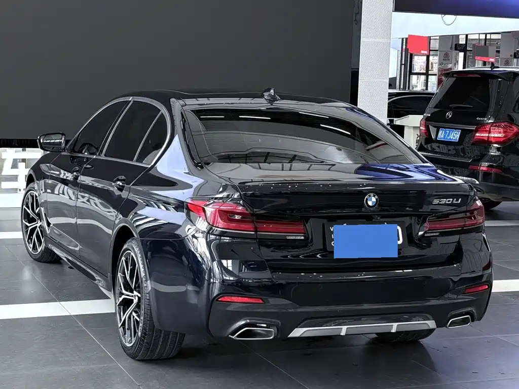 BMW 5 Series — миниатюра 3