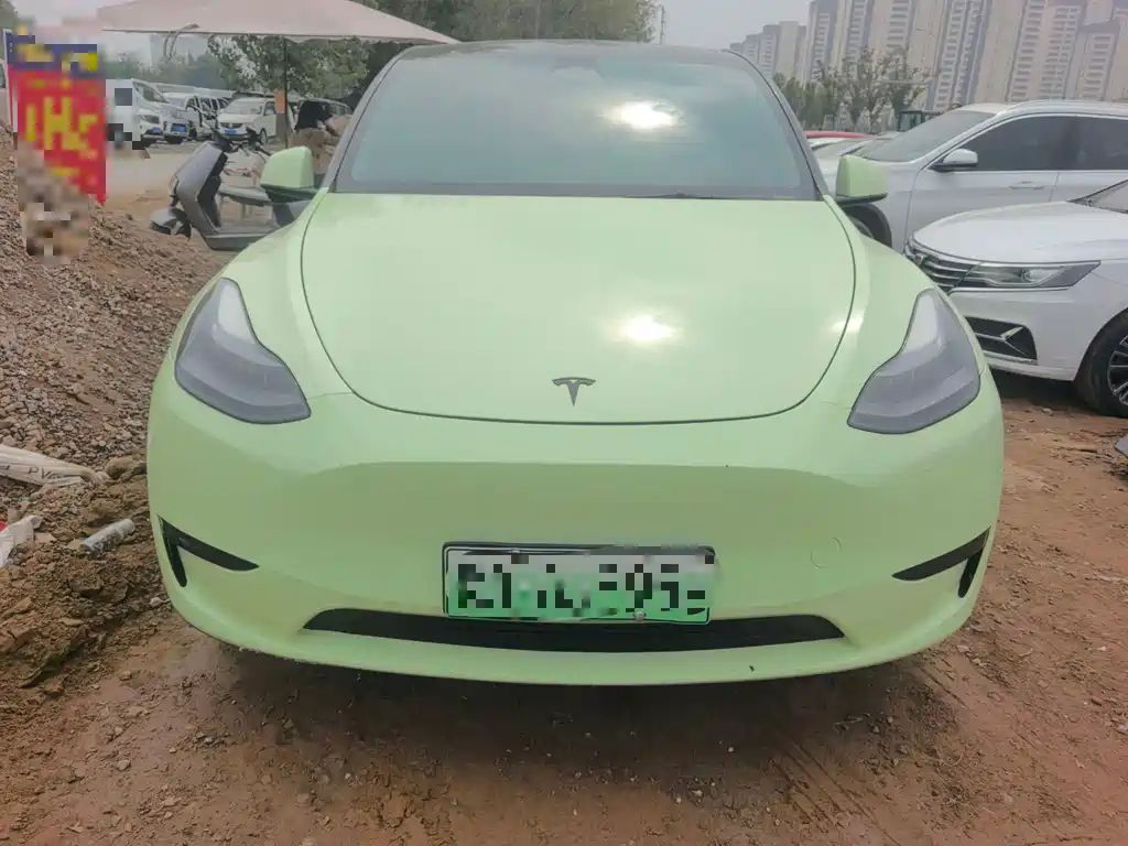 Tesla Model Y — миниатюра 2