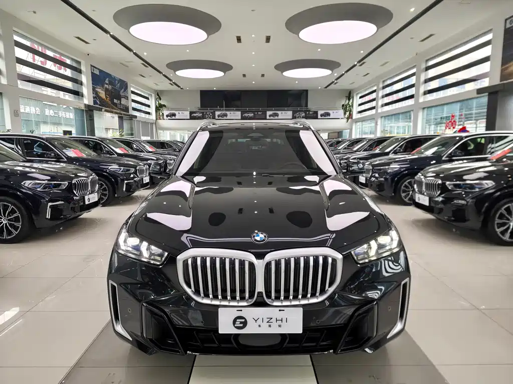 BMW X5 — миниатюра 2